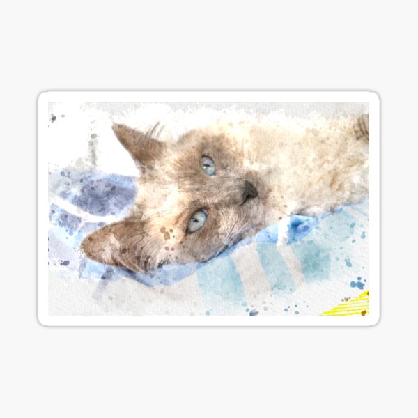 Ragdoll Cat Watercolor Sticker