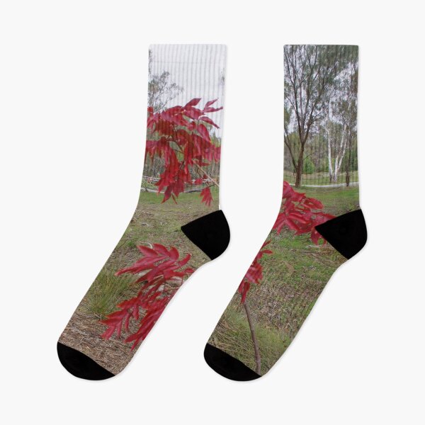 Item preview, Crimson Leaves designed and sold by AlysiaMcC13.