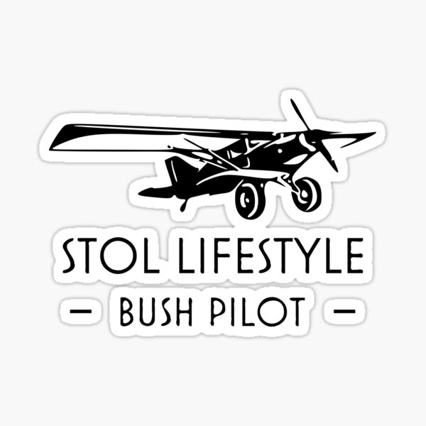 Custom Door Decals Vinyl Stickers Multiple Sizes Bush Plane Services Phone Number Blue Business Bush Plane Services Outdoor Luggage & Bumper Stickers for Cars Blue 24X16Inches Set of 10 