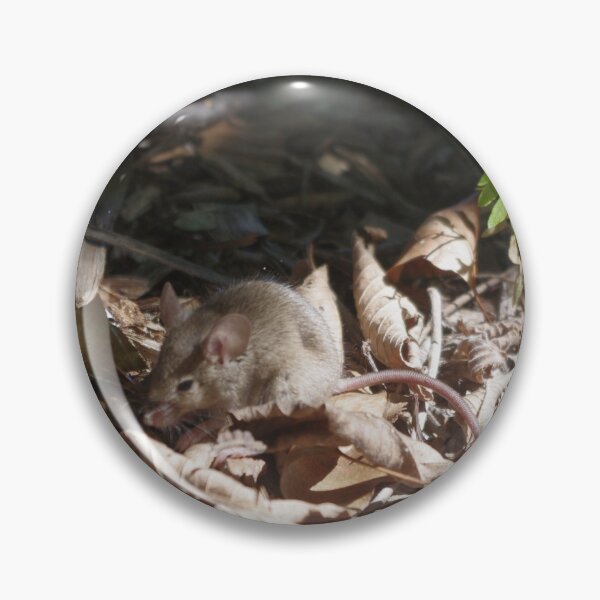 Item preview, Catch and Release designed and sold by AlysiaMcC13.