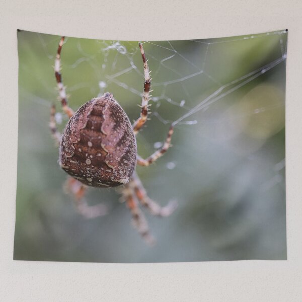 Item preview, Cross Spider Macro 3 - Cute Spiders Gifts designed and sold by r-silver.