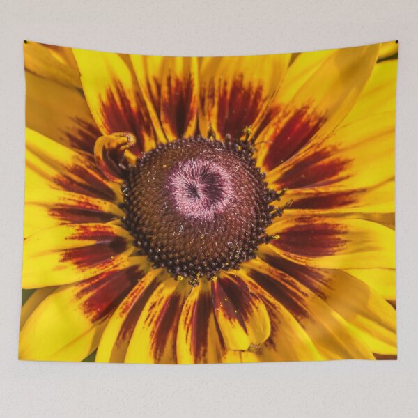 Item preview, Bright Yellow Daisy on a Sunny Summer Day designed and sold by Jon Shore.