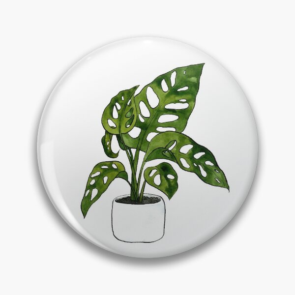 Item preview, Monstera Adansonii Plant designed and sold by Markami.