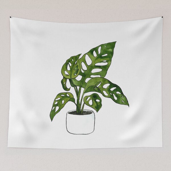 Item preview, Monstera Adansonii Plant designed and sold by Markami.