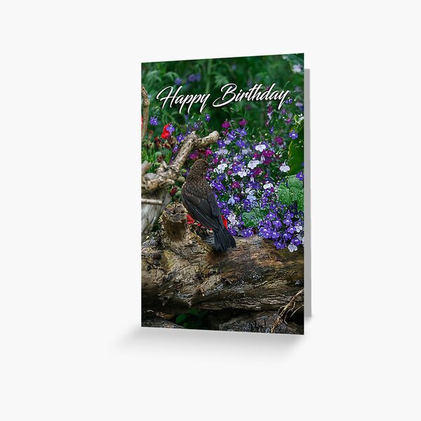 A blackbird on a log greeting card Greeting Card