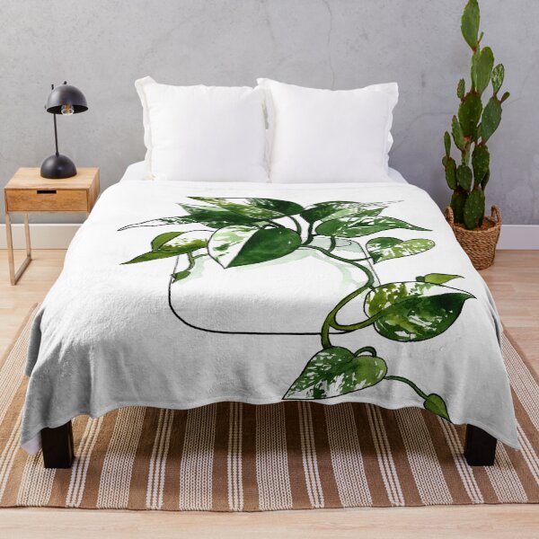 Item preview, Variegated Golden Pothos Plant designed and sold by Markami.
