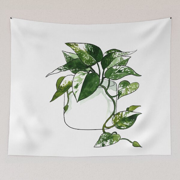 Item preview, Variegated Golden Pothos Plant designed and sold by Markami.