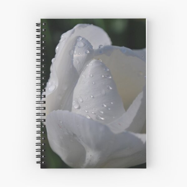 Item preview, Softly the tulip in Spring designed and sold by Lozzar Flowers & Art.