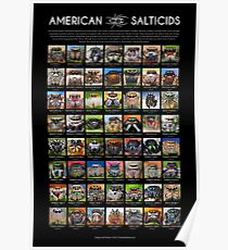 "American Salticids" Jumping Spider Poster Poster