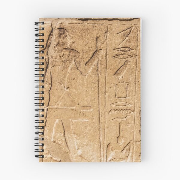 Item preview, Hieroglyphs designed and sold by petewelsby.