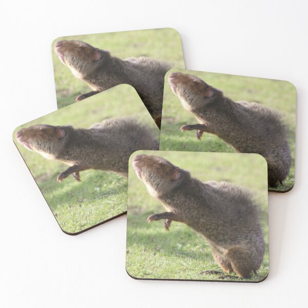 Item preview, The Snooty Agouti designed and sold by Ladymoose.