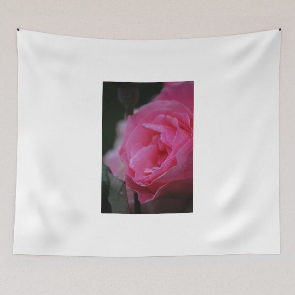 Item preview, Moody Pink Rose designed and sold by Lozzar Flowers & Art.