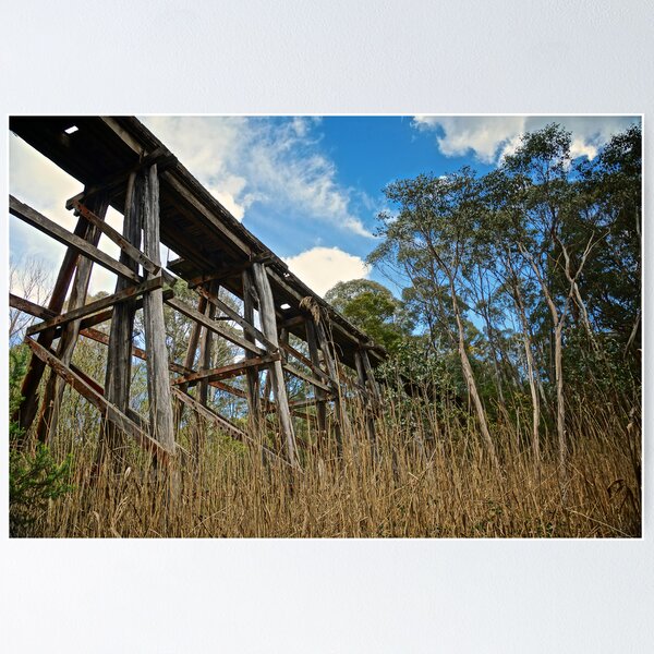 Item preview, Old Trestle Rail Bridge designed and sold by D-GaP.