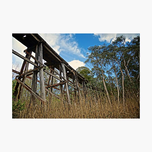 Item preview, Old Trestle Rail Bridge designed and sold by D-GaP.
