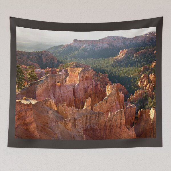 Artikelvorschau, Sonnenlicht auf den Hoodoos im Bryce Canyon - Utah entworfen und verkauft von Kathy Weaver.