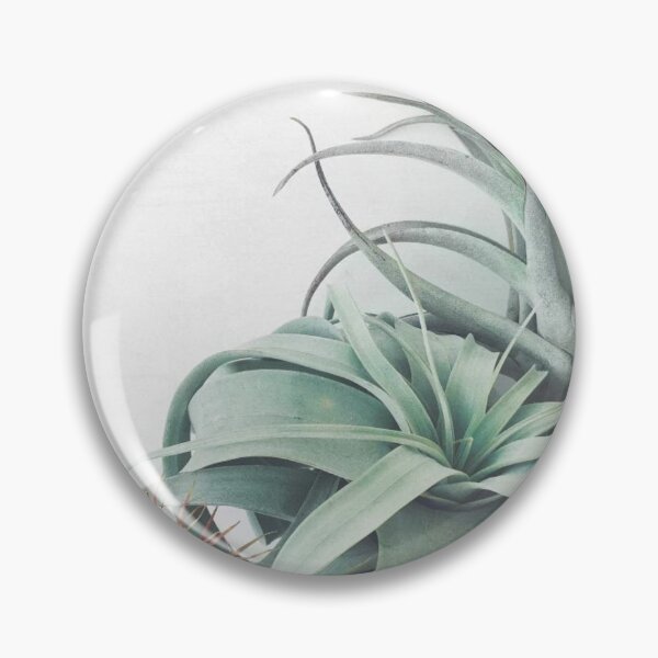Item preview, Air Plant Collection designed and sold by CharlieWarren.