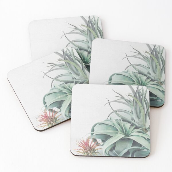Item preview, Air Plant Collection designed and sold by CharlieWarren.