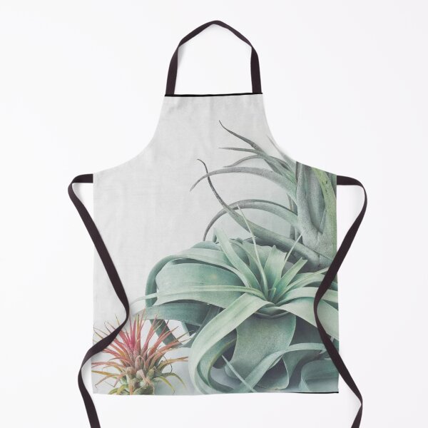 Item preview, Air Plant Collection designed and sold by CharlieWarren.