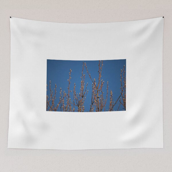 Item preview, Early Buds designed and sold by Lozzar Flowers & Art.