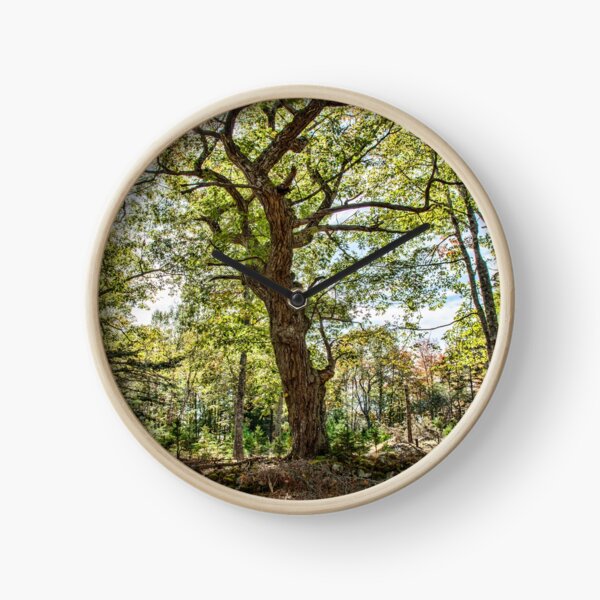 Oak Island - Chêne de Rick Horloge