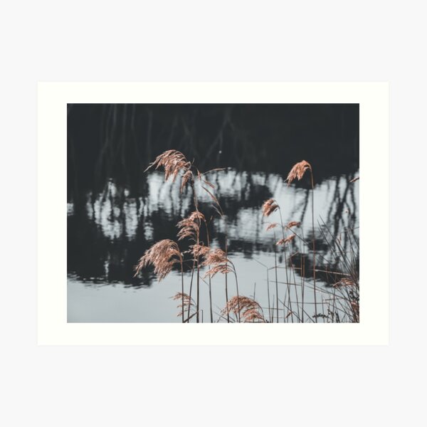 Nature photography Art Print
