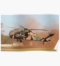 Tiger in the dust Poster