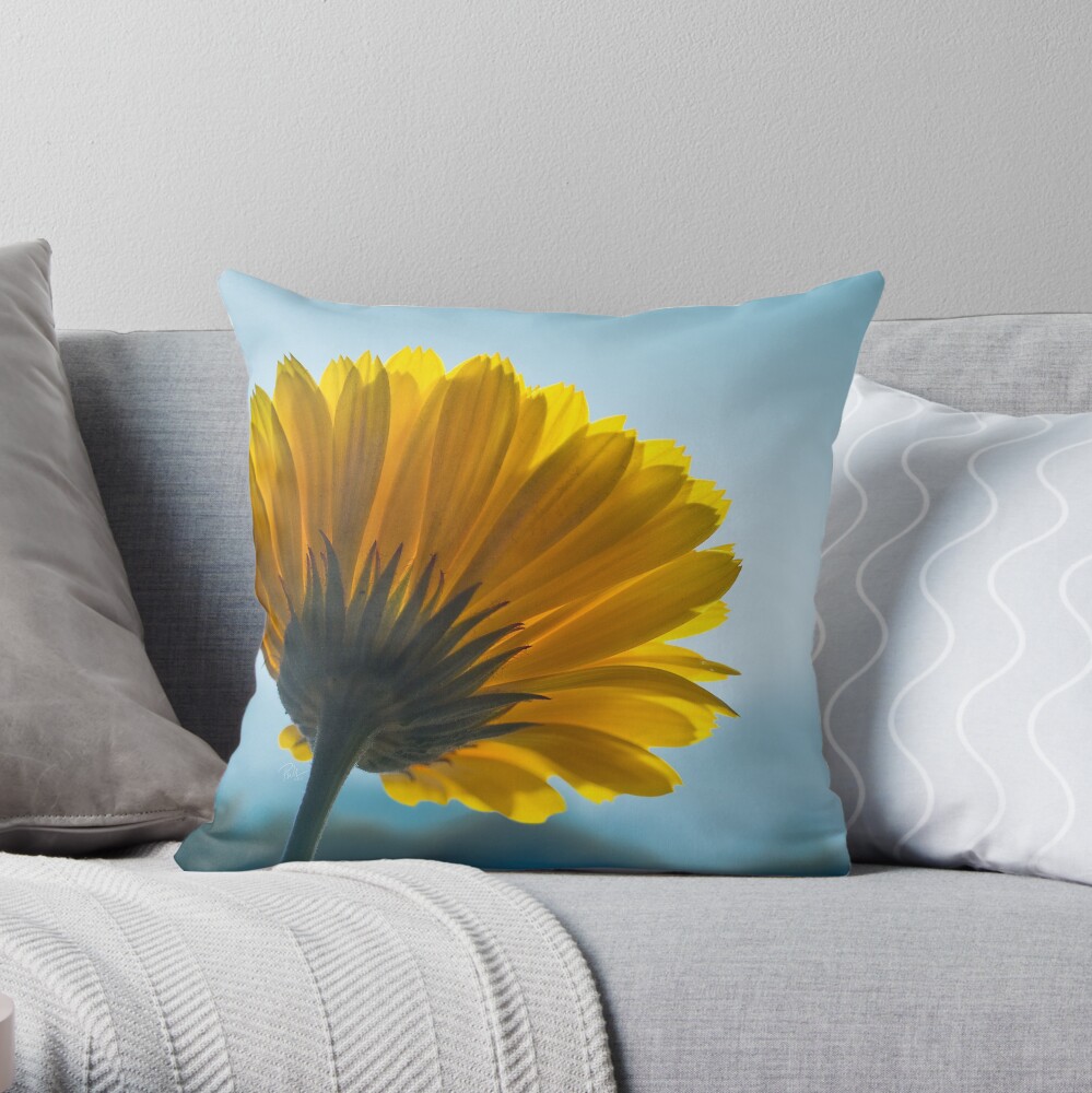 I Can't Look, Calendula Flower Print, Cushion, Card, Mug Throw Pillow