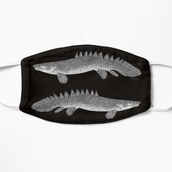 A bichir Mask
