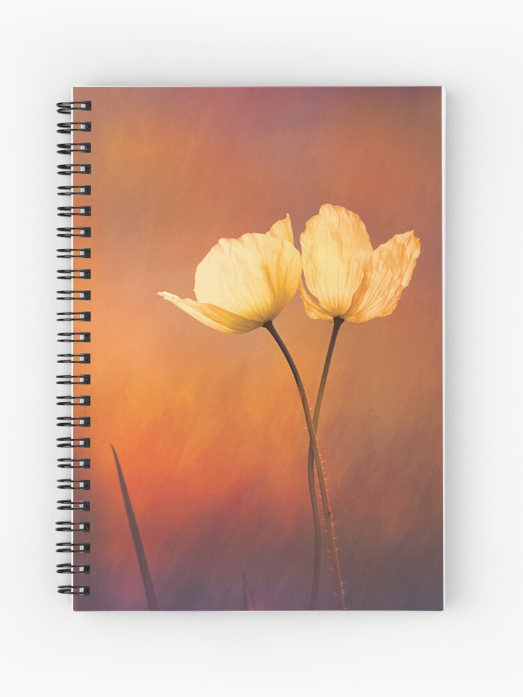 Forest Dawn Poppy Print Art Coaster Cushion Spiral Notebook