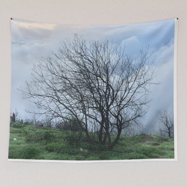 Item preview, Sunset Rain Cloud Tree Design designed and sold by AnujShah7.