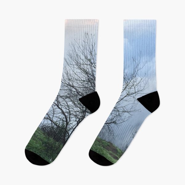 Item preview, Sunset Rain Cloud Tree Design designed and sold by AnujShah7.