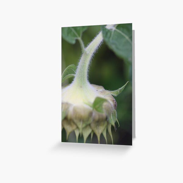 Gravity Greeting Card