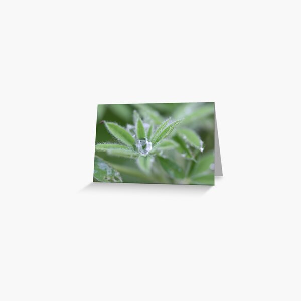 Droplet Greeting Card