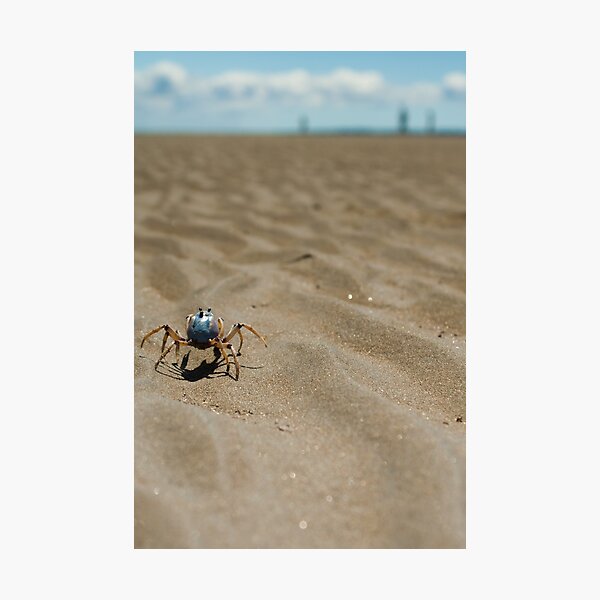 One Fine Soldier Photographic Print