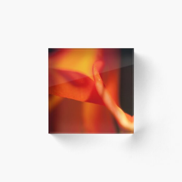 The Orange Flower Acrylic Block