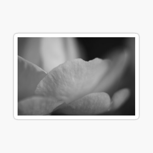 Silvertone Petals Sticker
