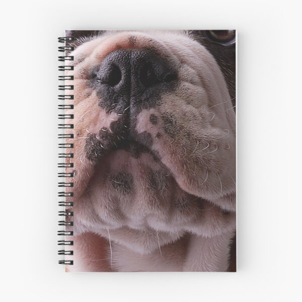 Item preview, Mascarilla Bulldog designed and sold by Geoffrey Jones.