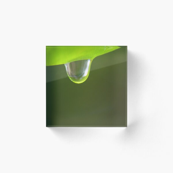 Simplicity Acrylic Block