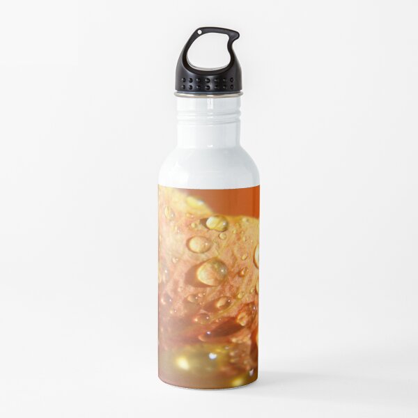 Hibiscus Rising Water Bottle