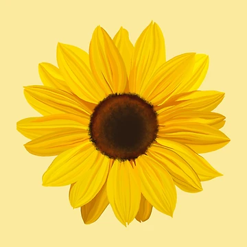 Artwork thumbnail, sunflower by Designed By Rachel