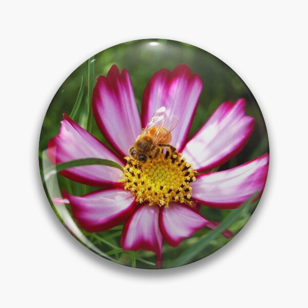 Item preview, Bee on a Flower designed and sold by WaterGardens.