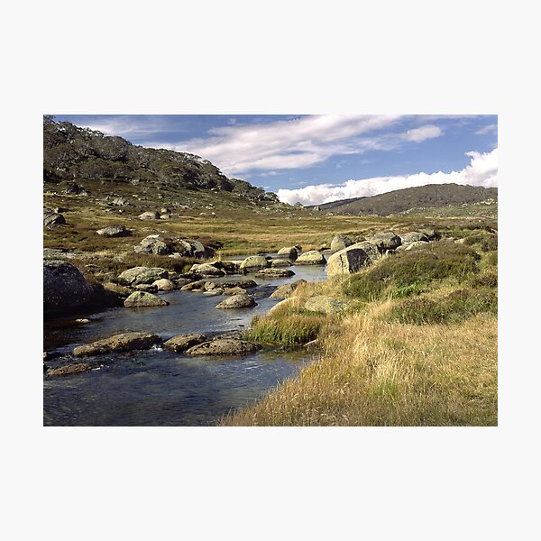 Item preview, Spencer's Creek, Snowy Mountains, Australia designed and sold by DBigwood.