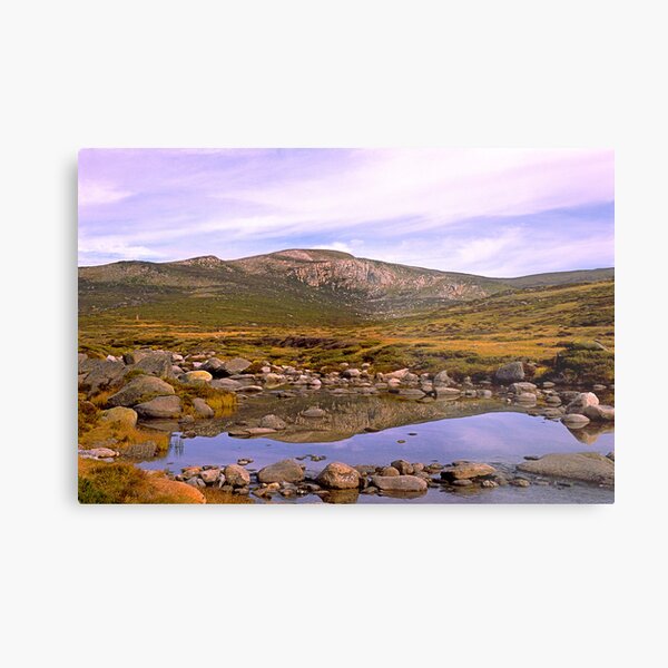 Snowy River, Charlotte Pass, Snowy Mountains, Australia Metal Print