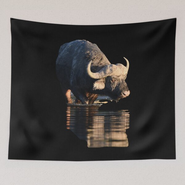 Item preview, Reflections of a Buffalo designed and sold by TeeZoneZtore.