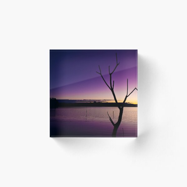 Branches Acrylic Block