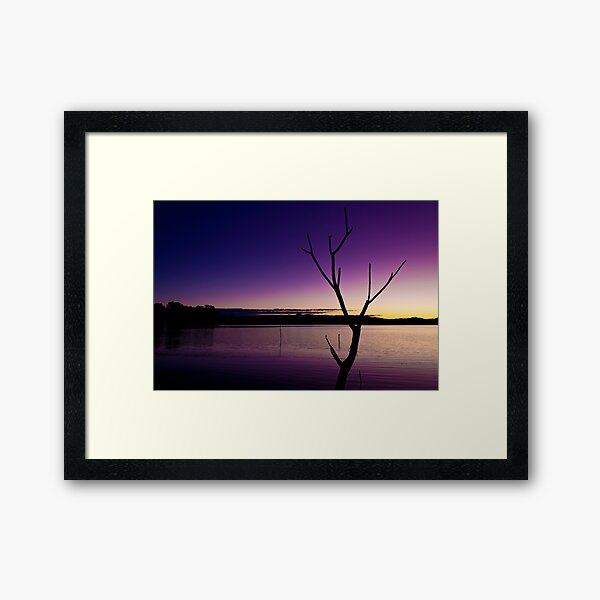 Branches Framed Art Print