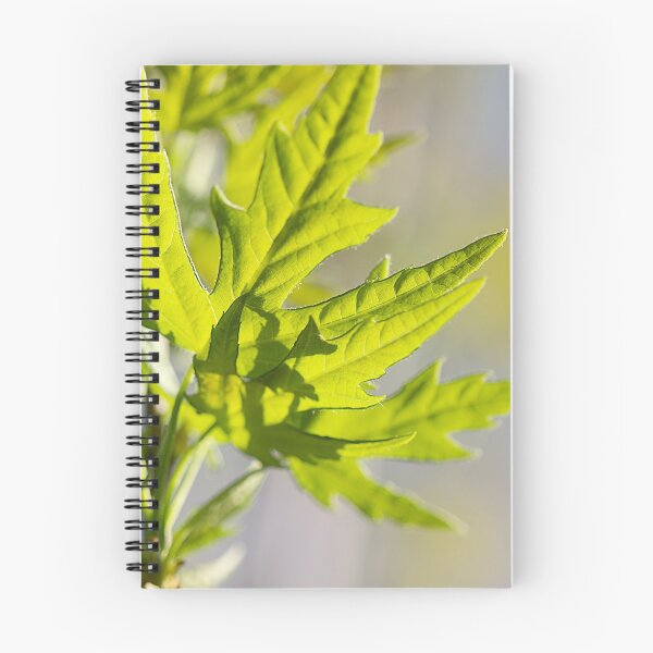 Item preview, Renewed designed and sold by Linda Lees.
