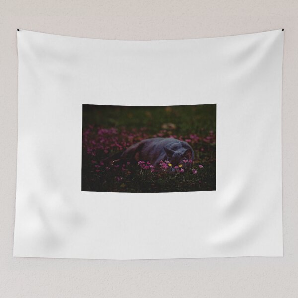 Item preview, catt designed and sold by jmpznz.