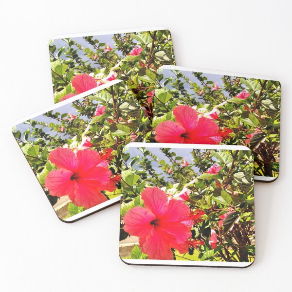 Item preview, Pink hibiscus designed and sold by Sharon111.