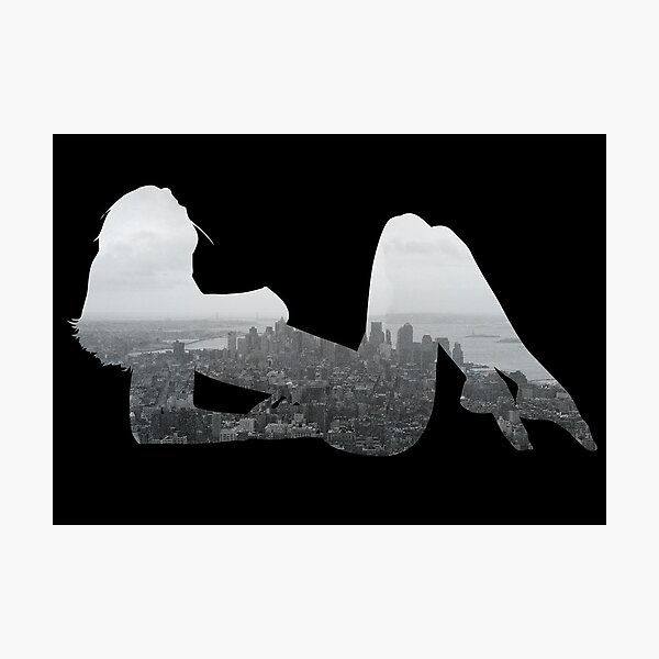 Aerial Photographic Print